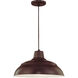 R Series 1 Light 17 inch Architectural Bronze Pendant Ceiling Light